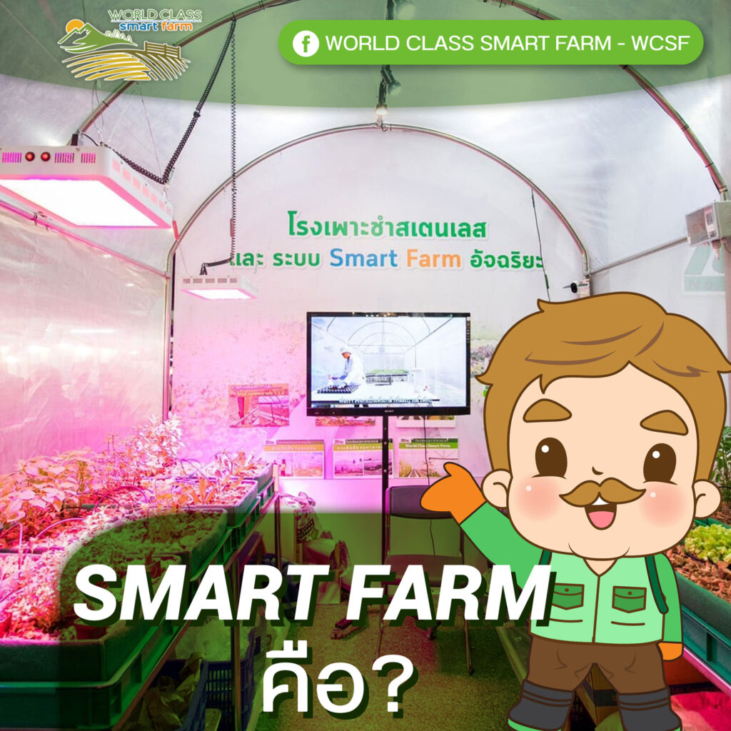 Smart Farm คืออะไรรู้หรือไม่?